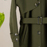 مدل بارونی جدید