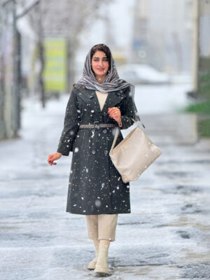 ten thousand one hundred3